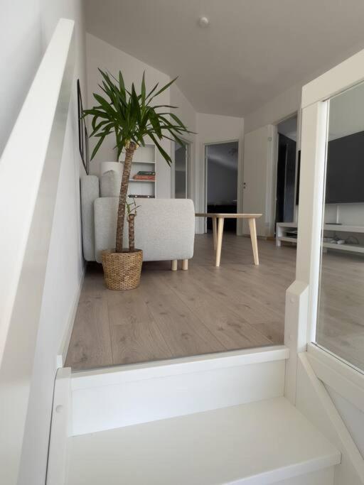 Top Floor Apartment Arossanden 5 A 크리스티안산 외부 사진